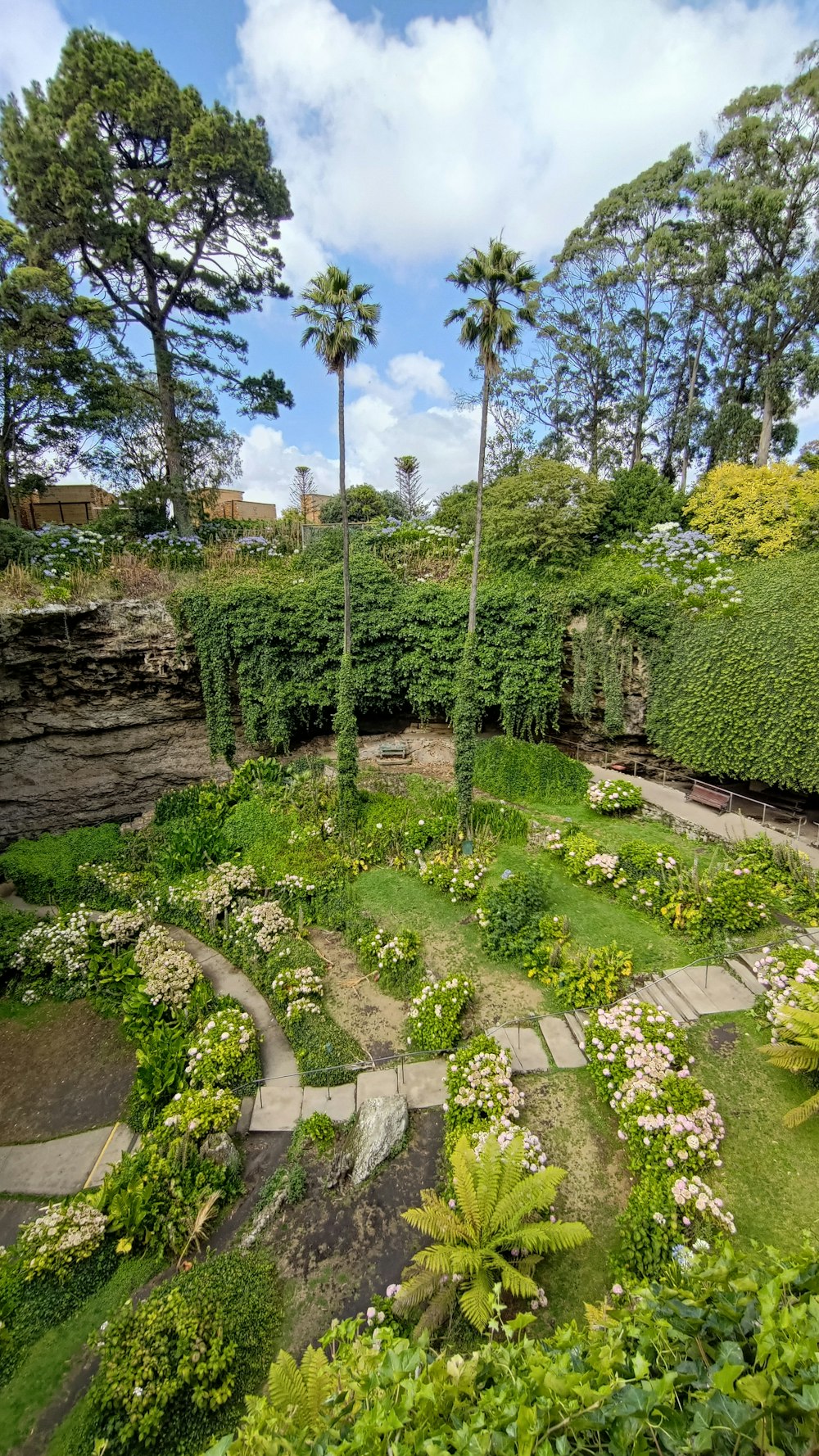 ein Garten mit vielen Pflanzen und Bäumen