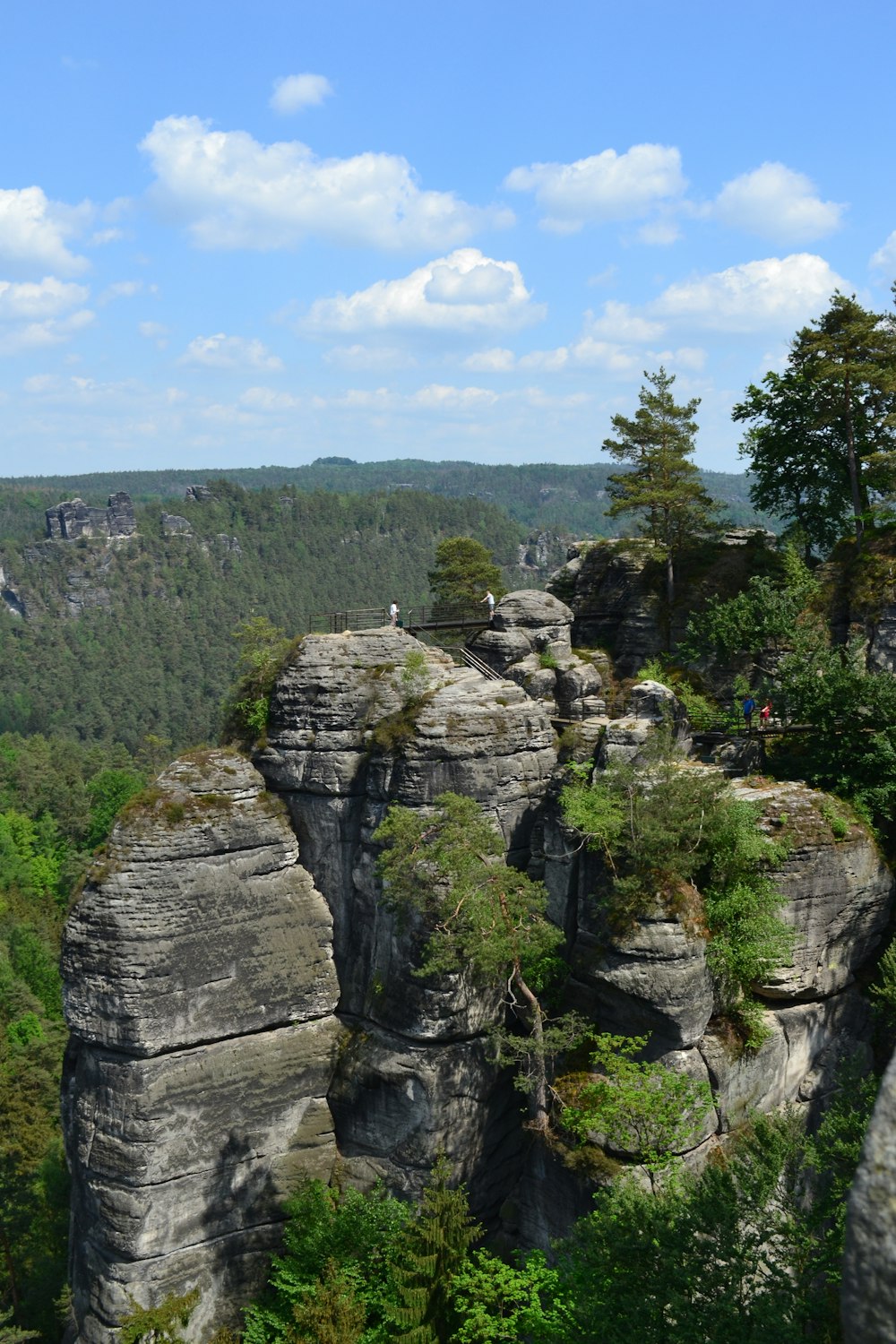 a rocky cliff with trees on top of it