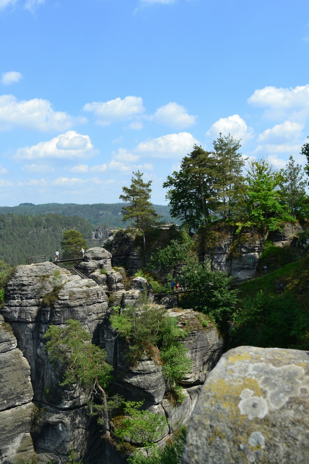 a scenic view of a rocky cliff with trees on top