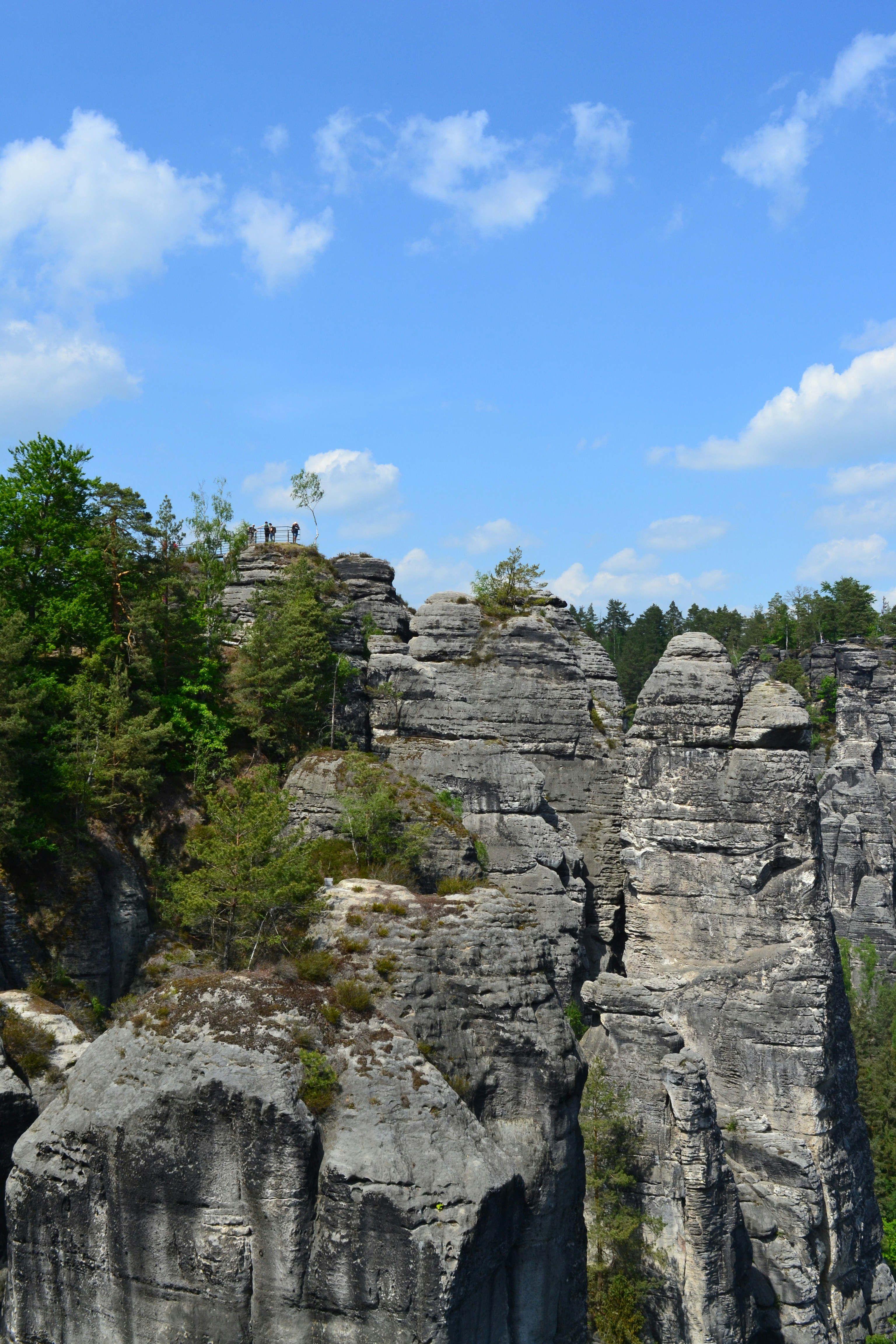 Photo by artistseyes