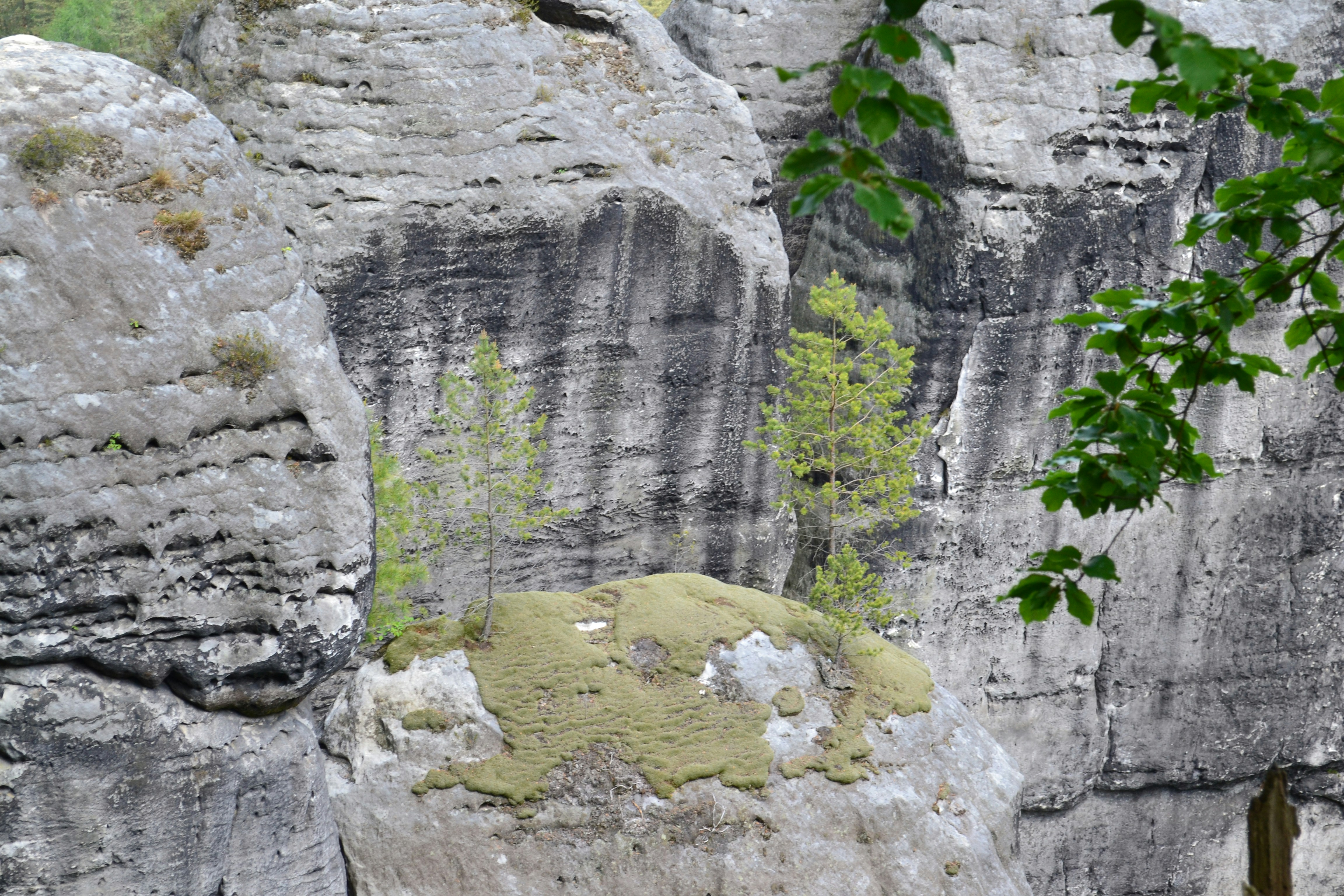 Photo by artistseyes