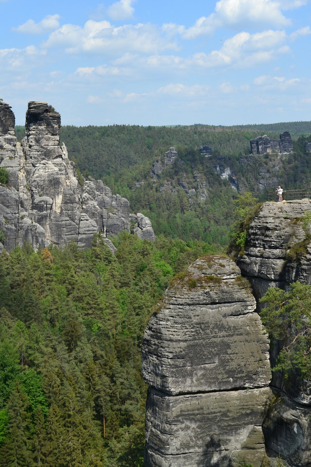 a man standing on top of a cliff next to a forest