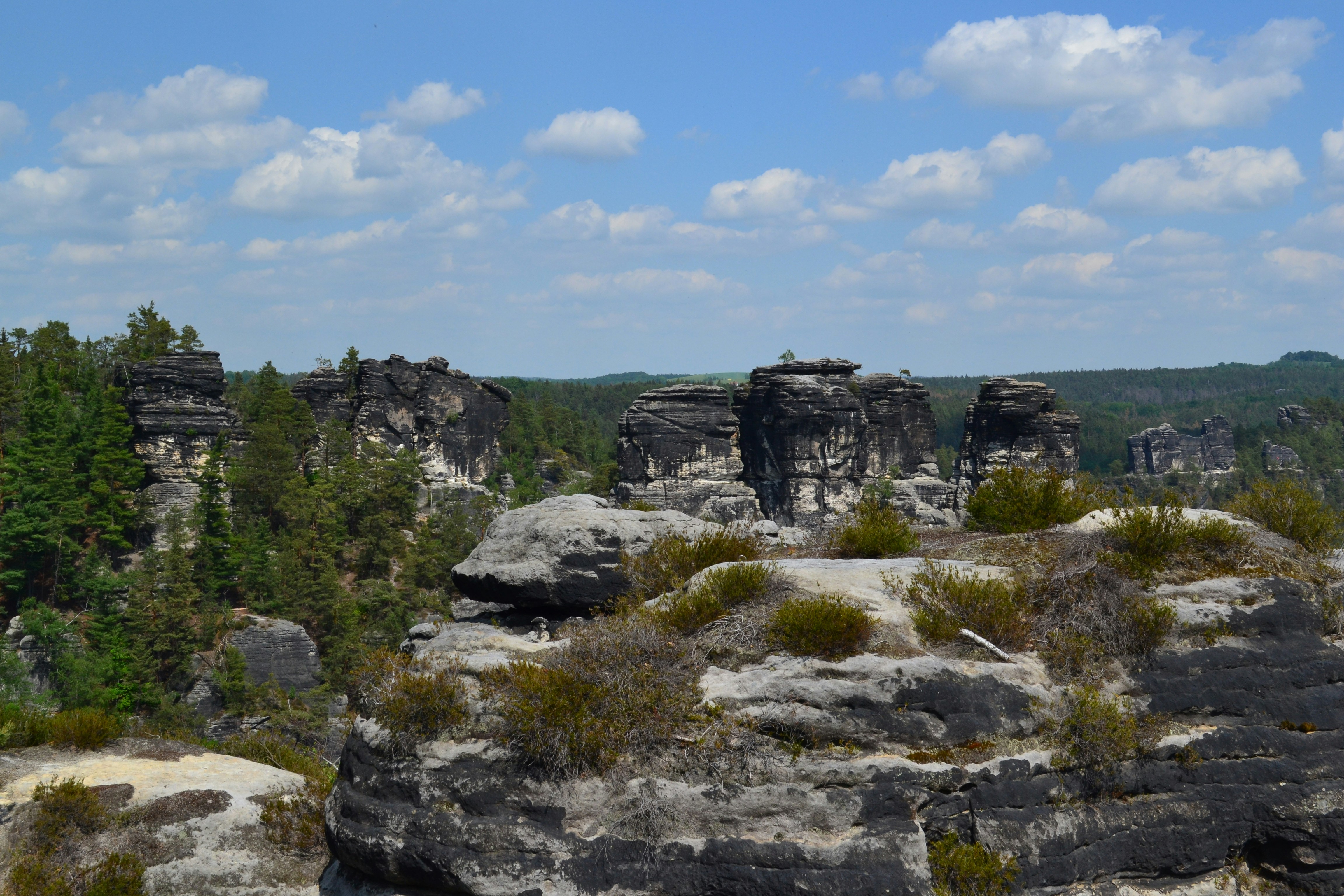 Photo by artistseyes