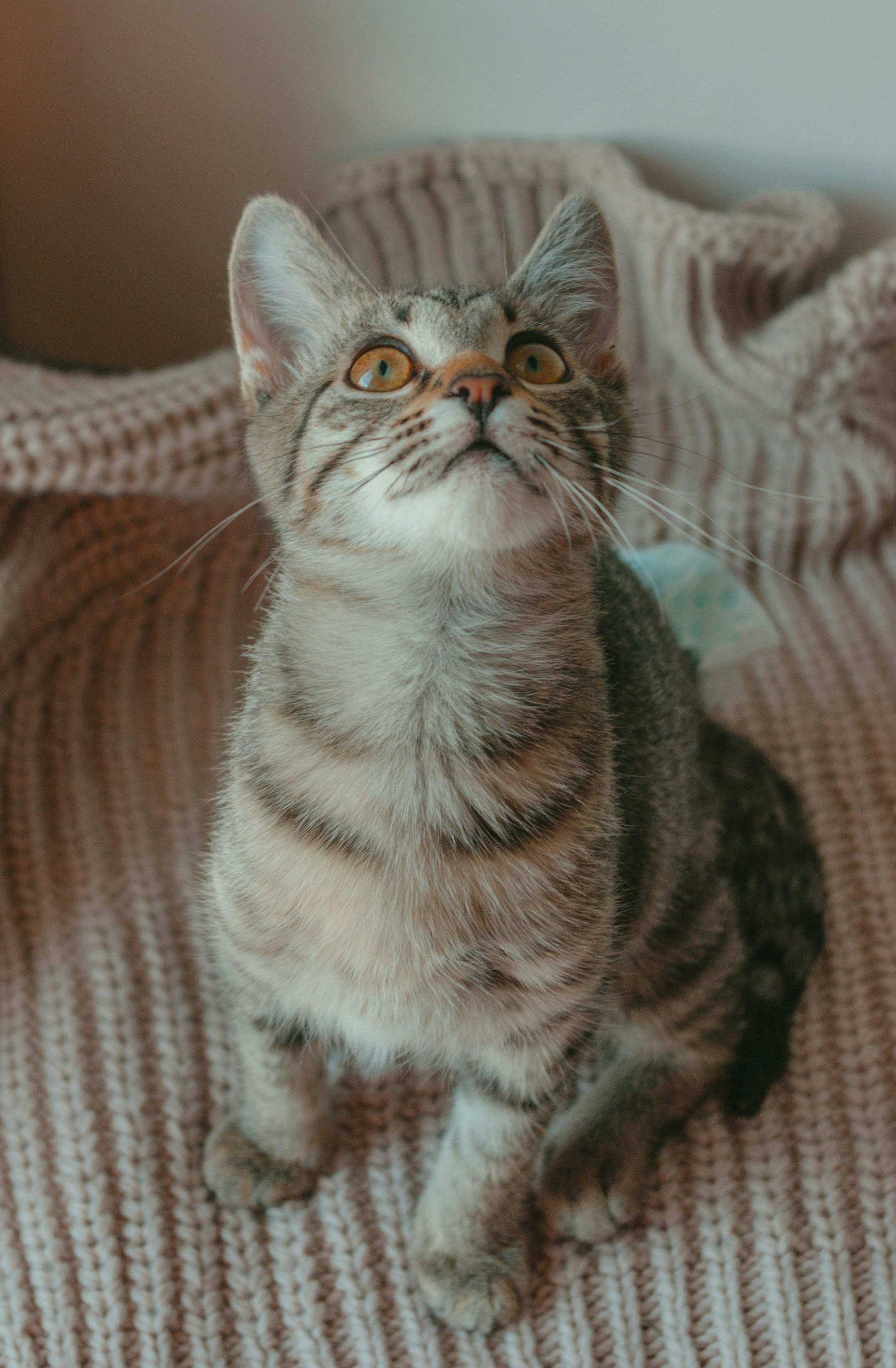 Photo by moonmoons_days