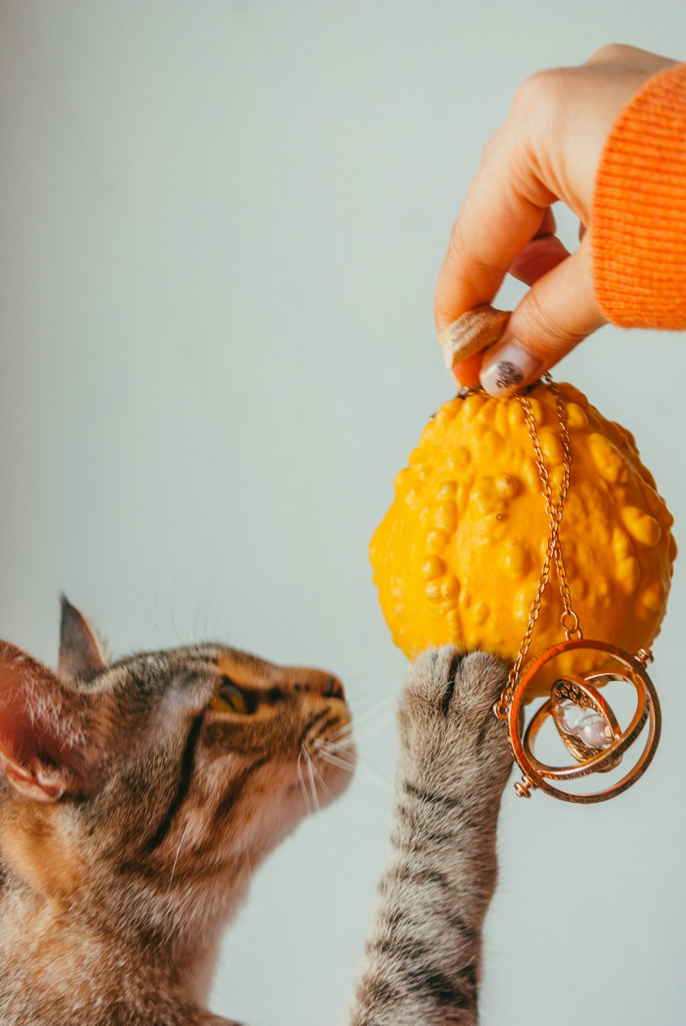 a cat is playing with a ball of food