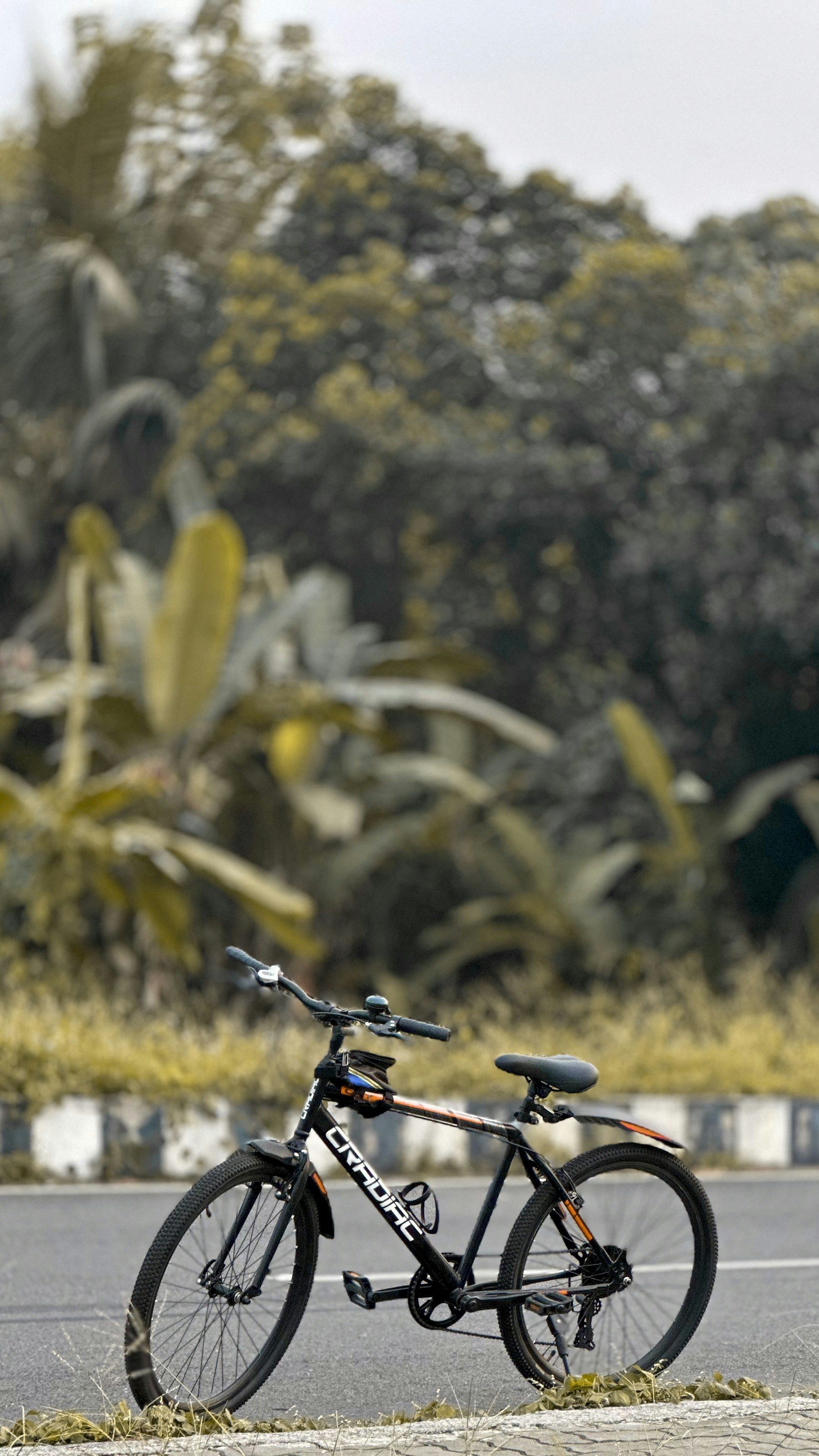 Photo by sachinbenny