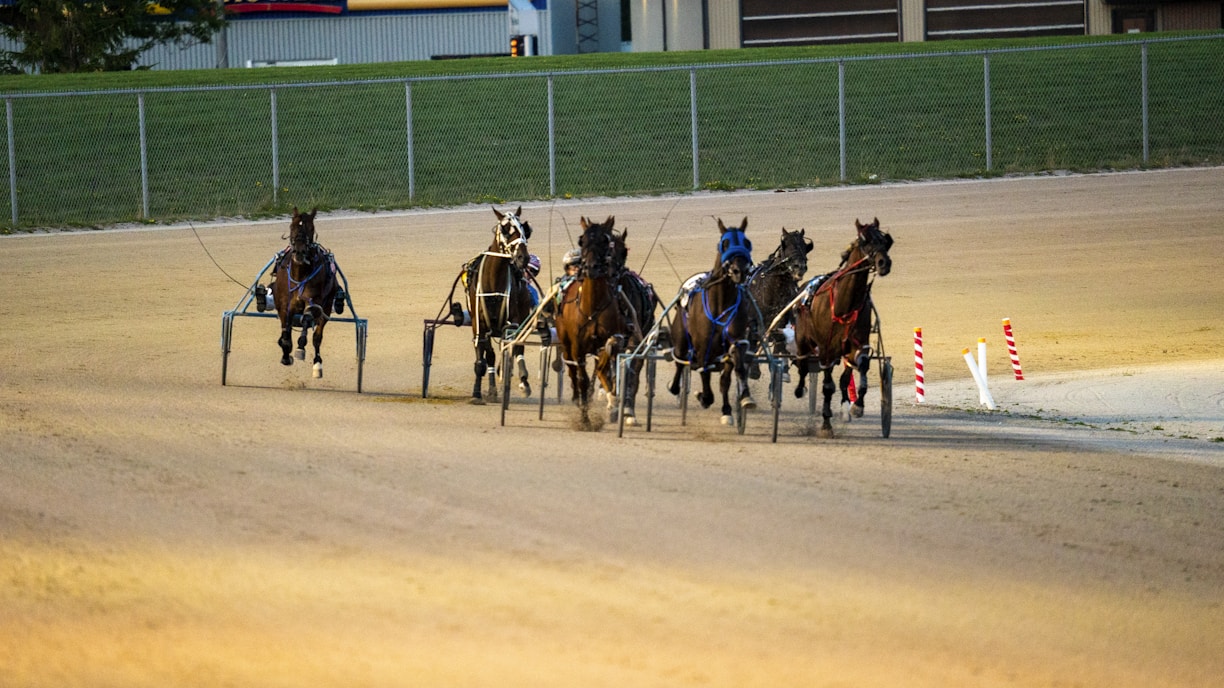 Excited fans watching a close finish at a harness racing event.