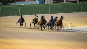 A group of horses is being driven in harness racing sulkies on a dirt track. The horses are galloping forward with their drivers focused on the race. The track is enclosed by a metal fence and there is grassy terrain in the background.