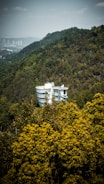 A modern, white, glass-structured building is nestled among dense, lush green forests on a hillside. The landscape is dominated by varying shades of green with a cityscape faintly visible in the distant background.