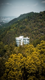 A modern, white, glass-structured building is nestled among dense, lush green forests on a hillside. The landscape is dominated by varying shades of green with a cityscape faintly visible in the distant background.