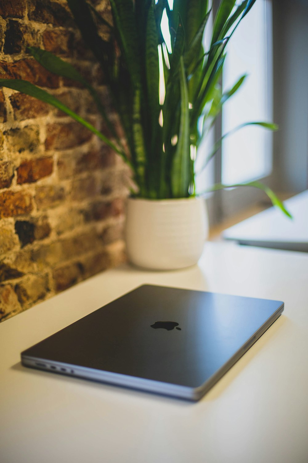 an apple laptop sitting on a table next to a potted plant