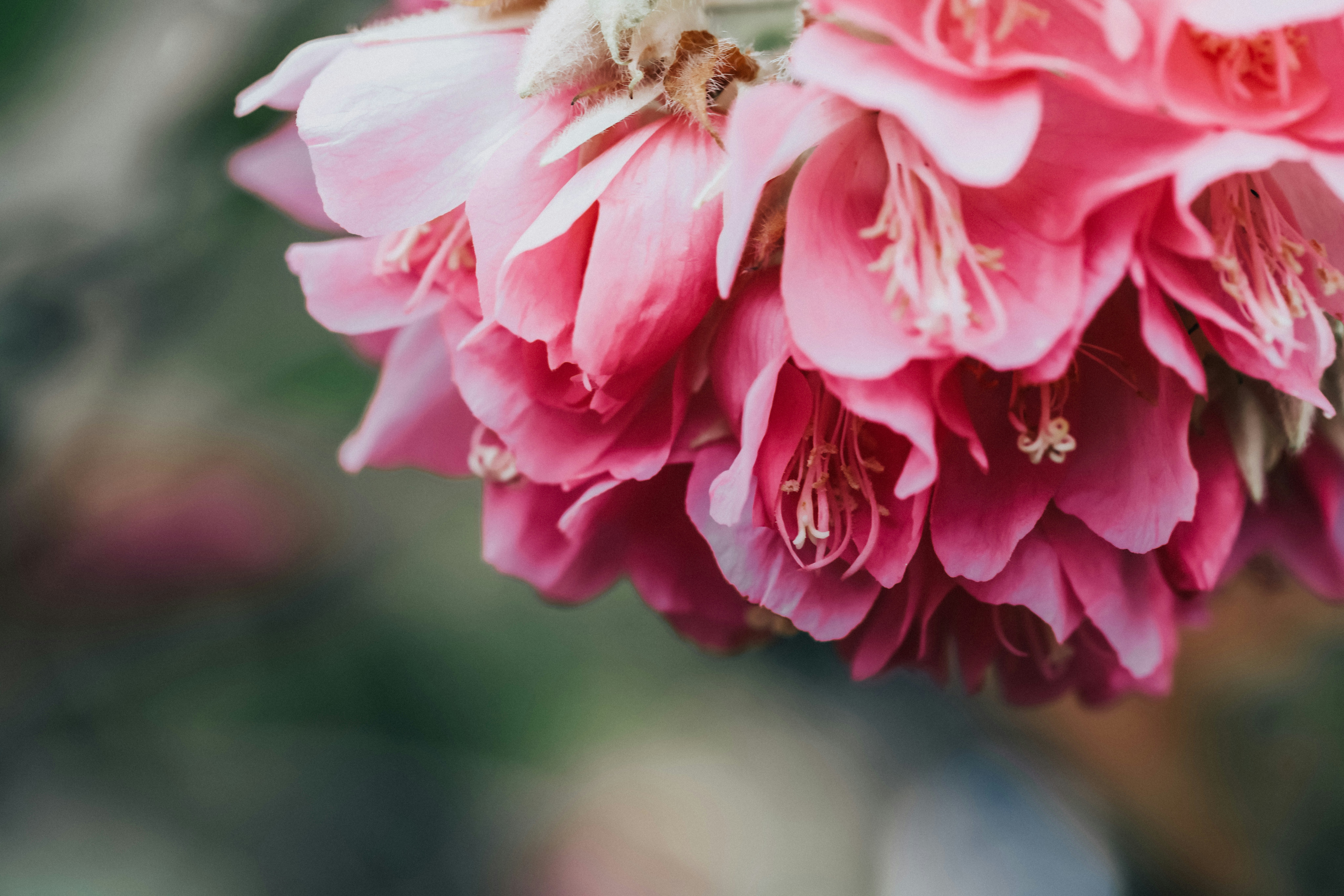 Photo by dickenslin76