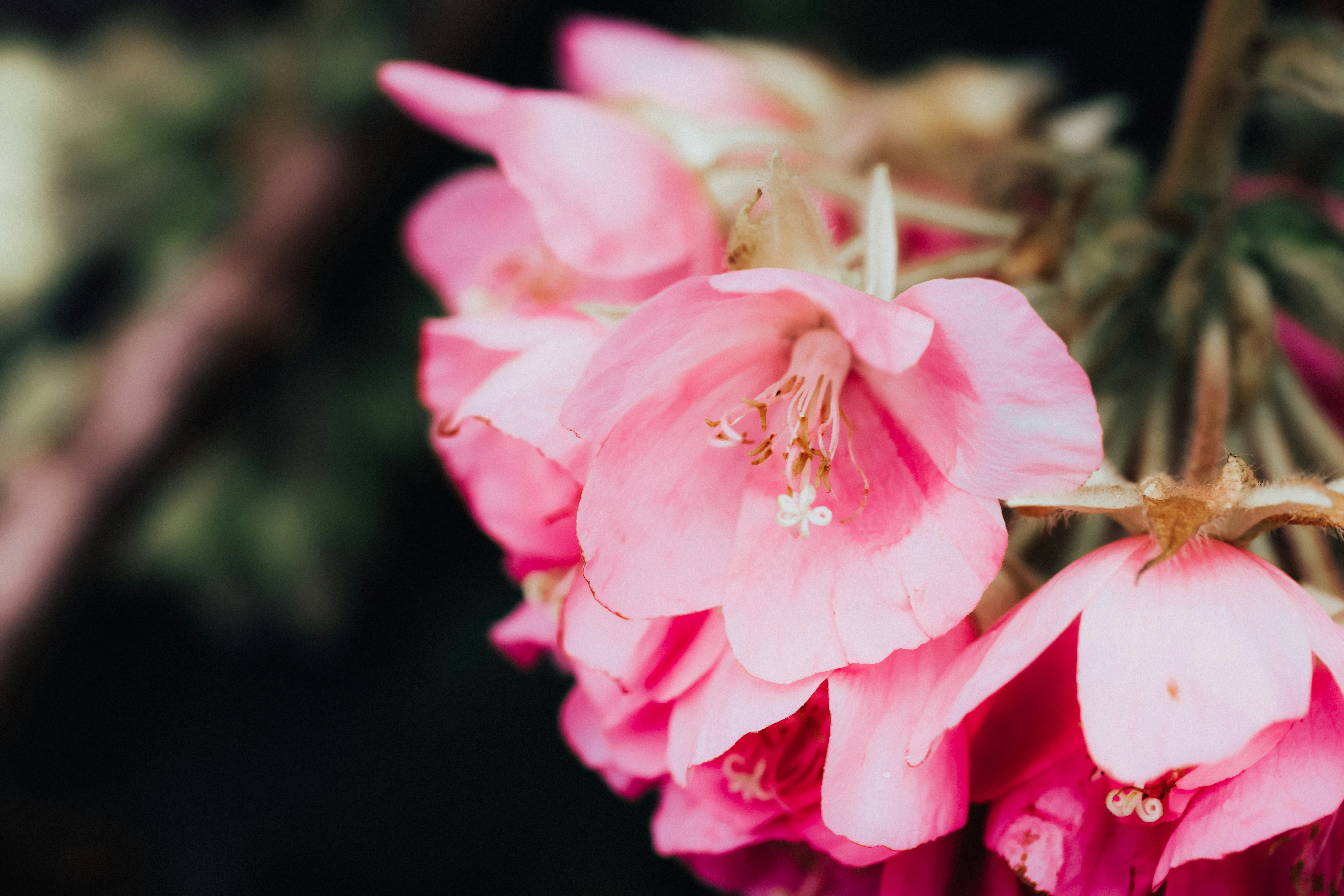 Photo by dickenslin76