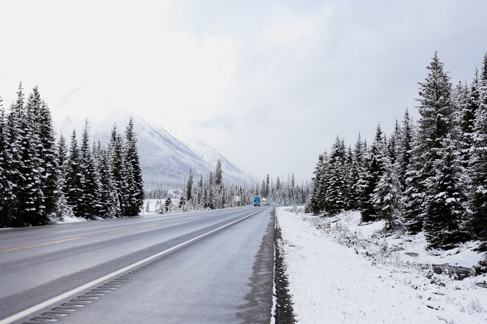 a road with snow on the ground and trees on both sides