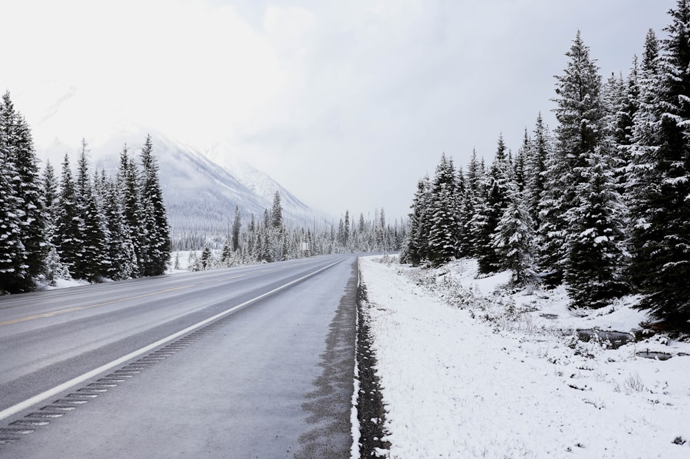 Una strada con neve e alberi su entrambi i lati