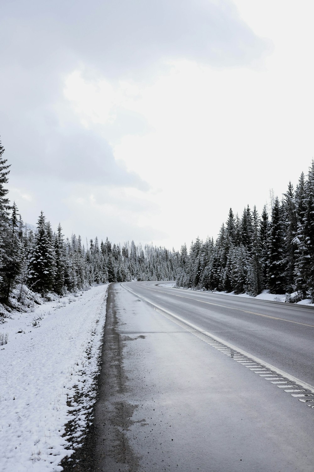 a snow covered road surrounded by pine trees