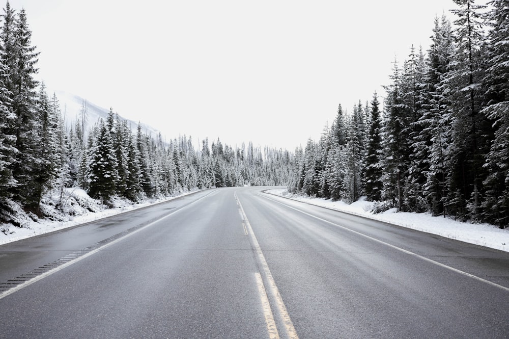 an empty road surrounded by snow covered trees