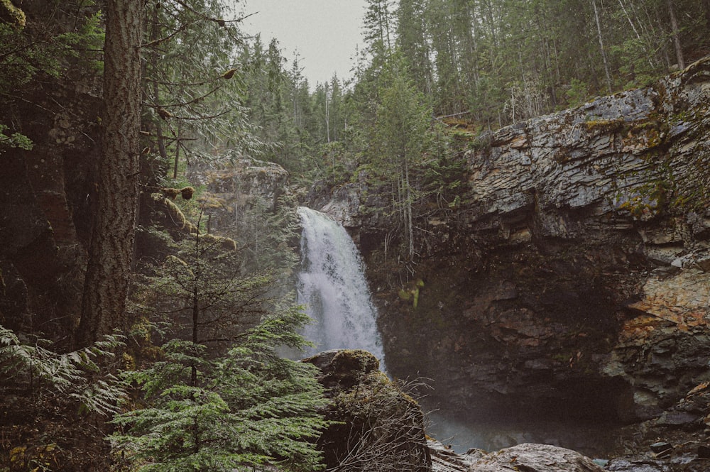 a waterfall in the middle of a forest