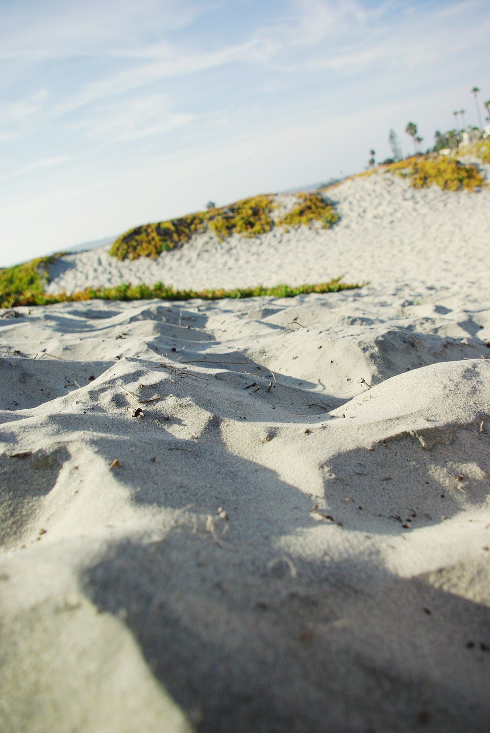 une plage de sable avec de l’herbe qui pousse au-dessus