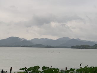 A serene landscape showcasing various types of birds.