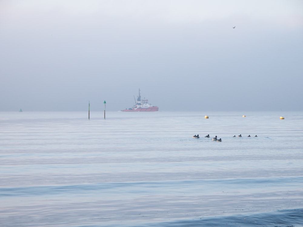 a group of people in the water with a boat in the background