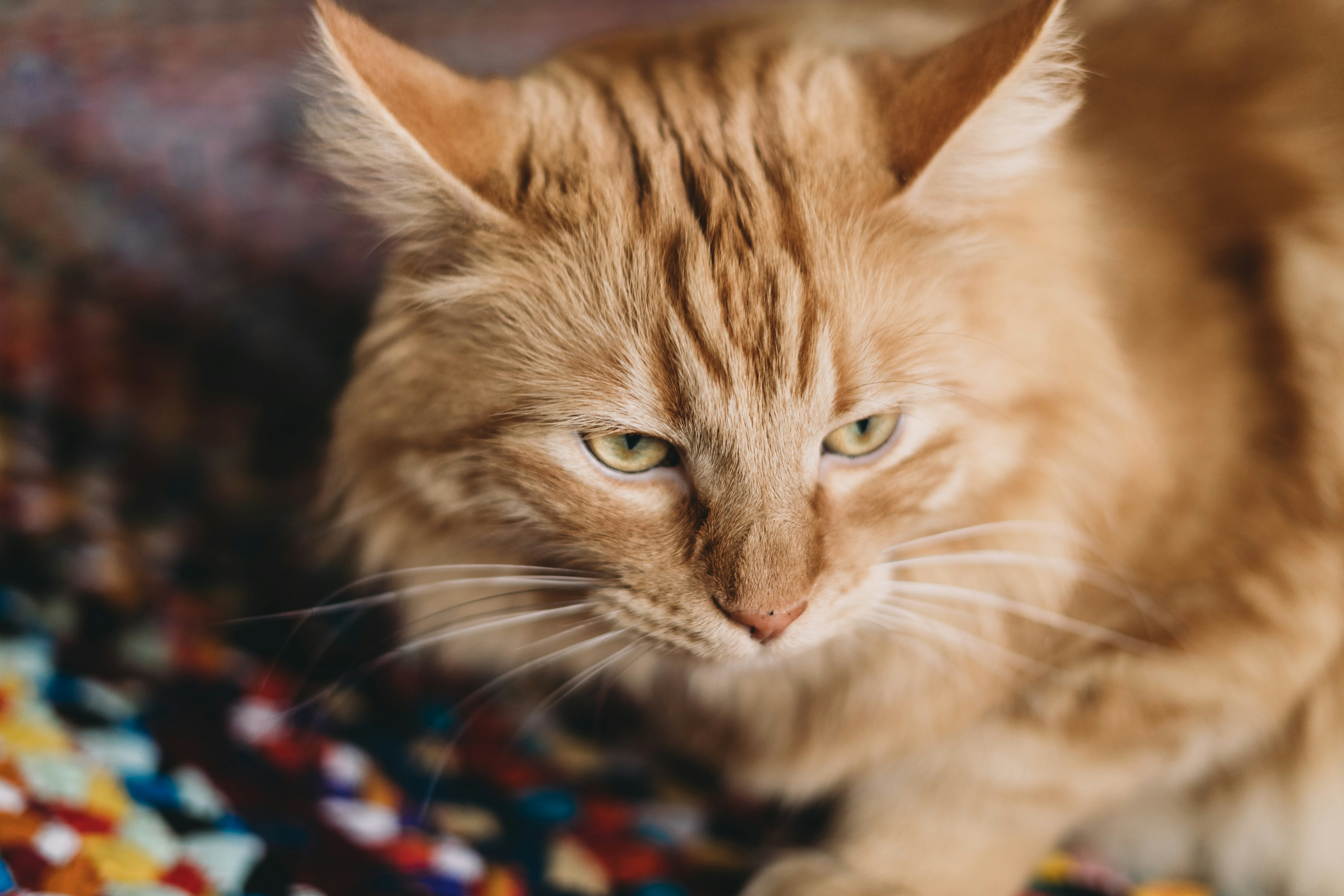 Photo by stevenvanelk