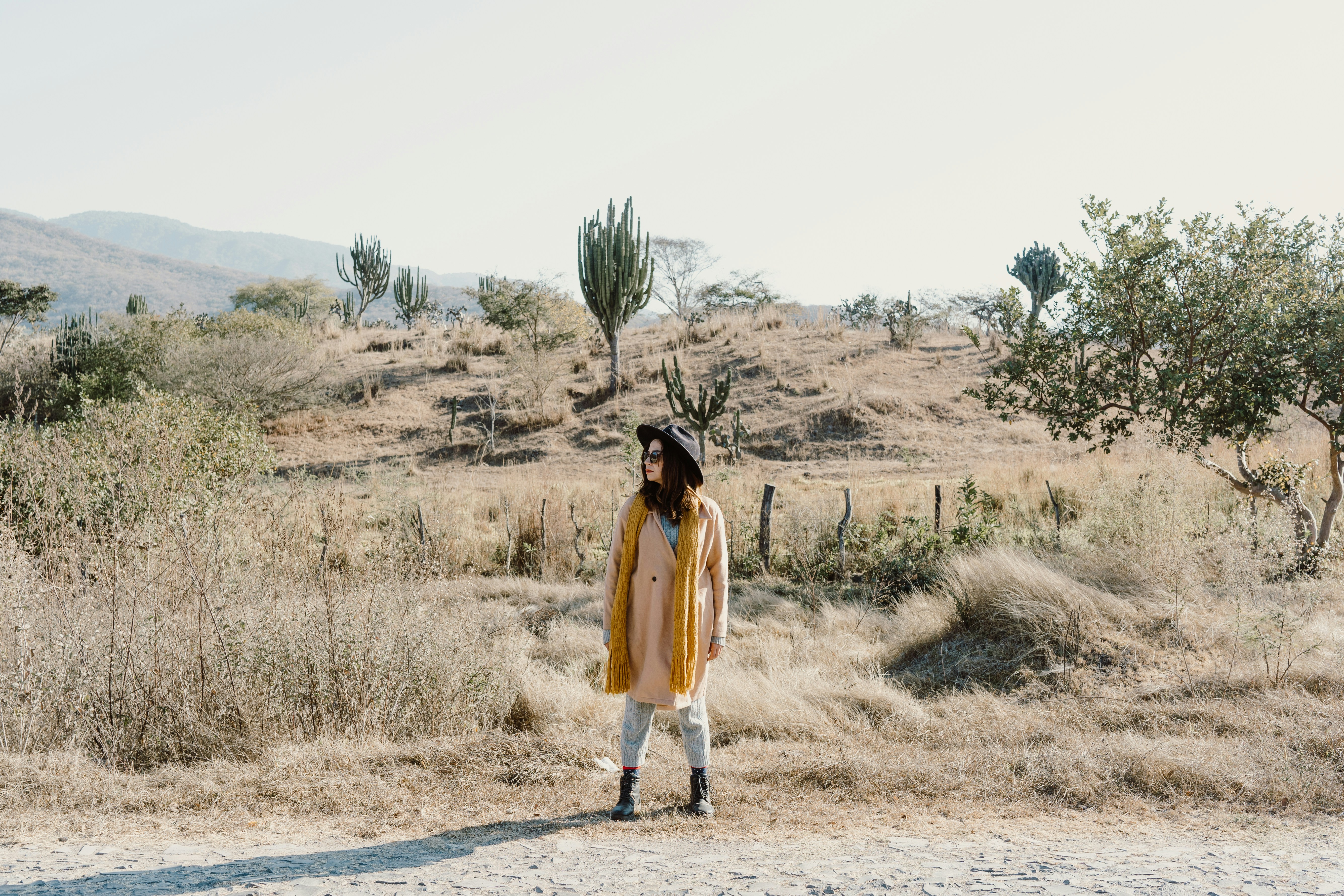 Photo by brunocervera