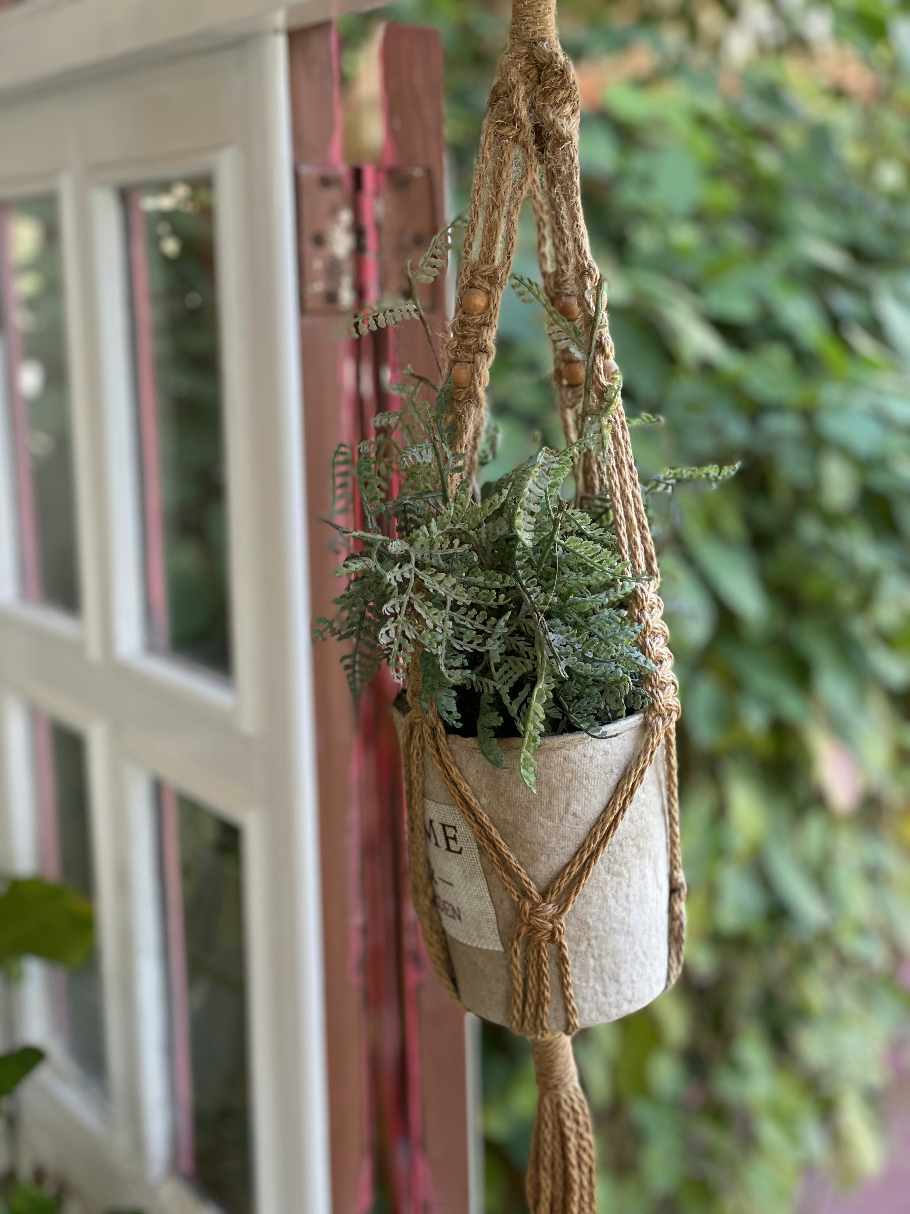 a potted plant hanging from a window sill