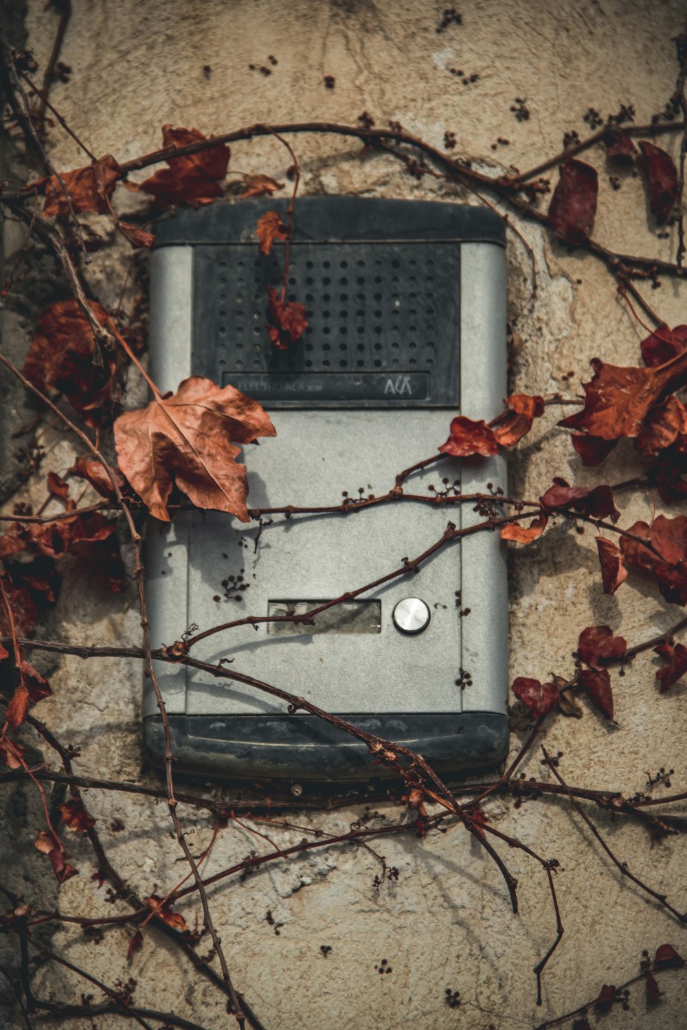 un telefono cellulare seduto in cima a un muro coperto di viti