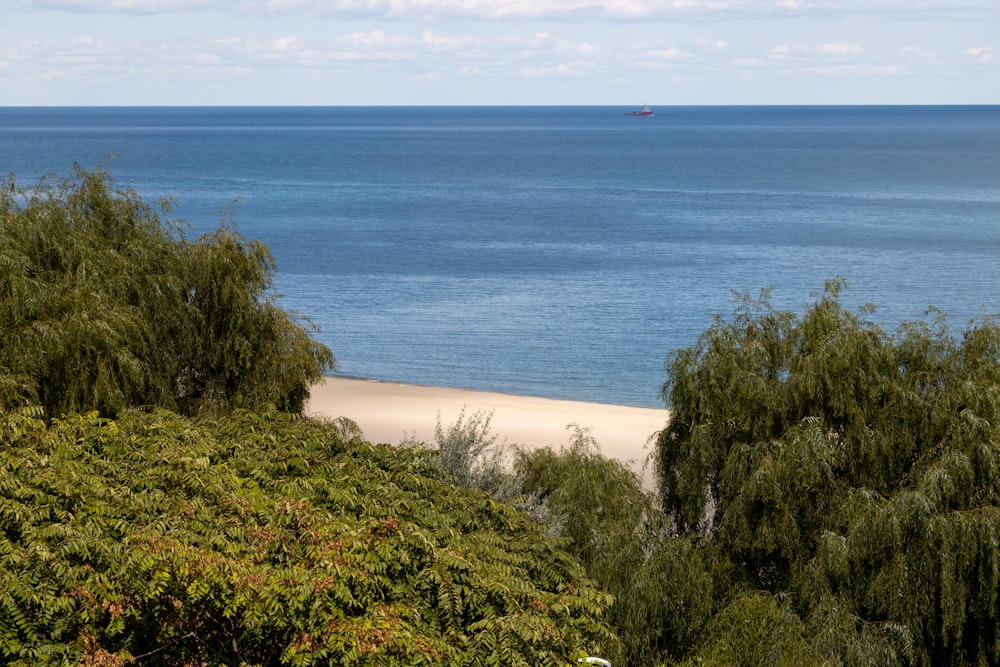 a view of the ocean from the top of a hill