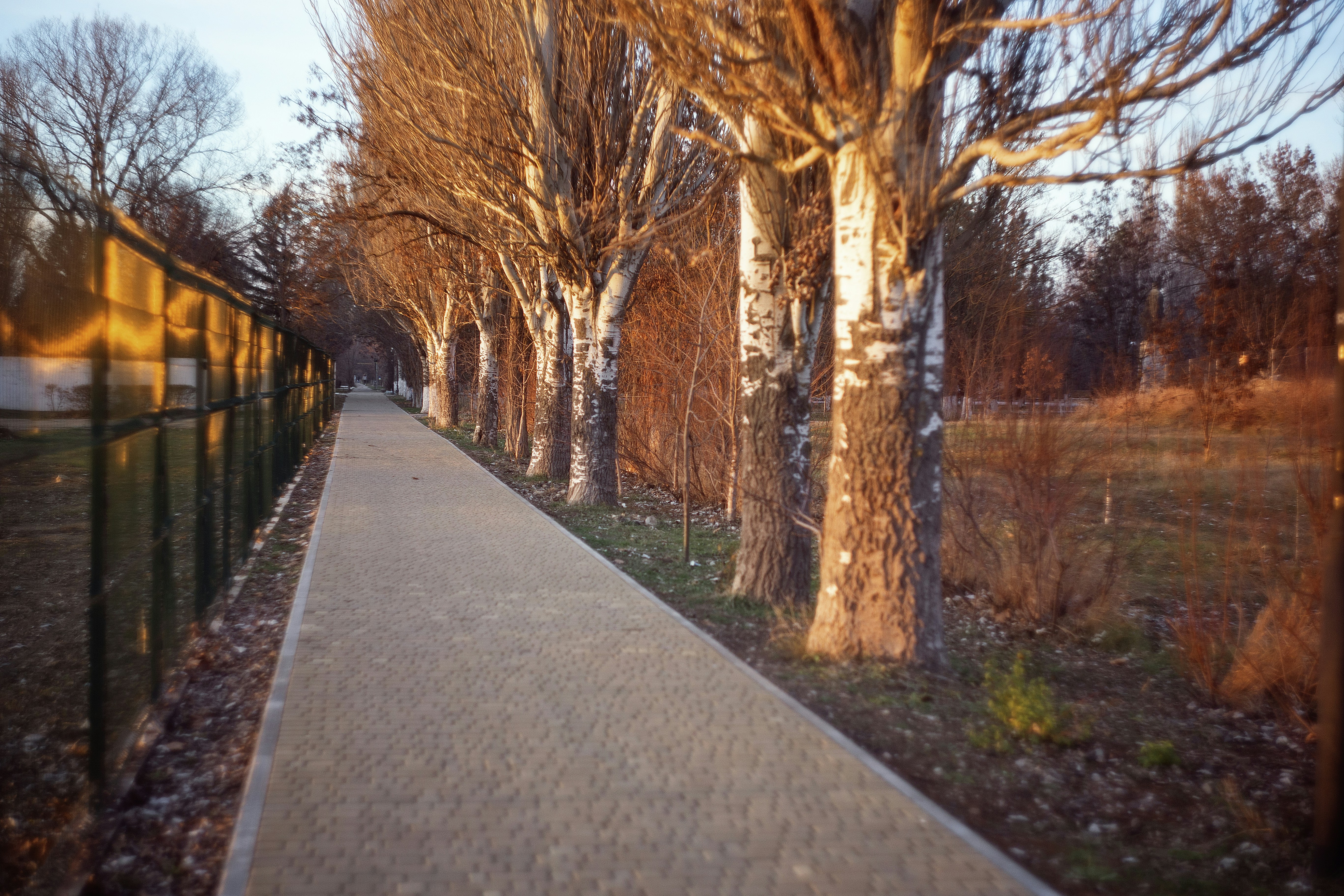 Greenway Linear Park