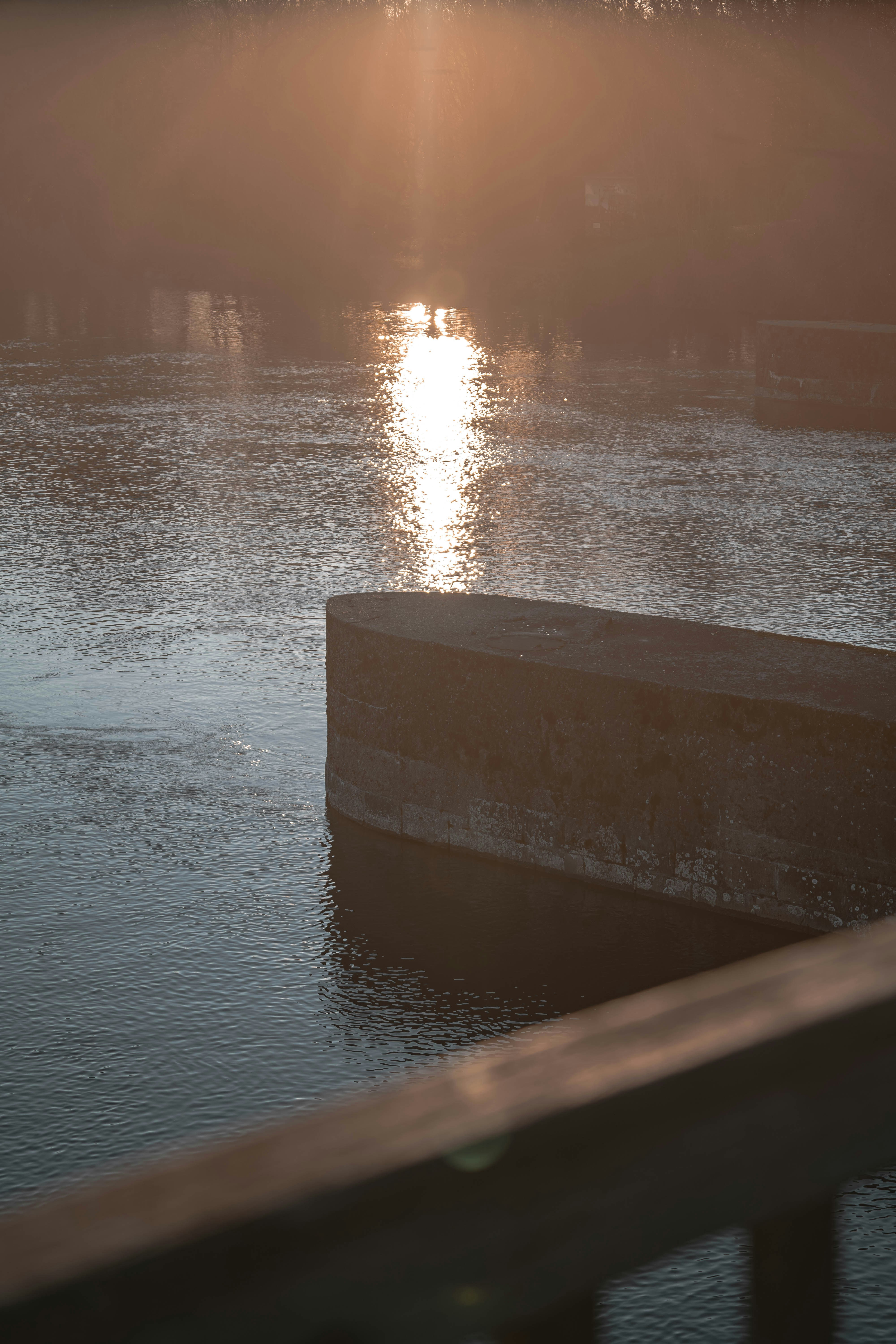 Photo by konstantin_rmy