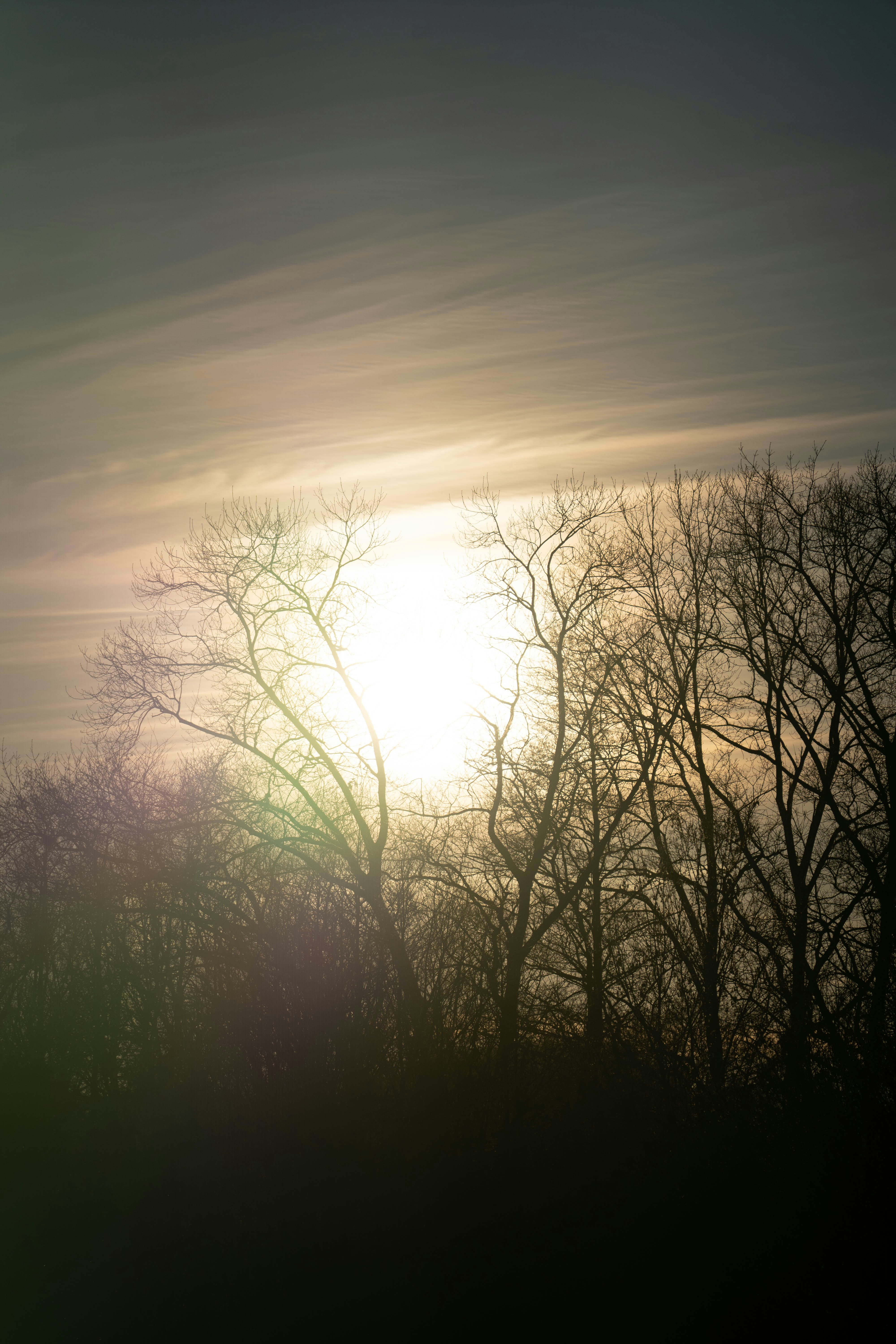 Photo by konstantin_rmy