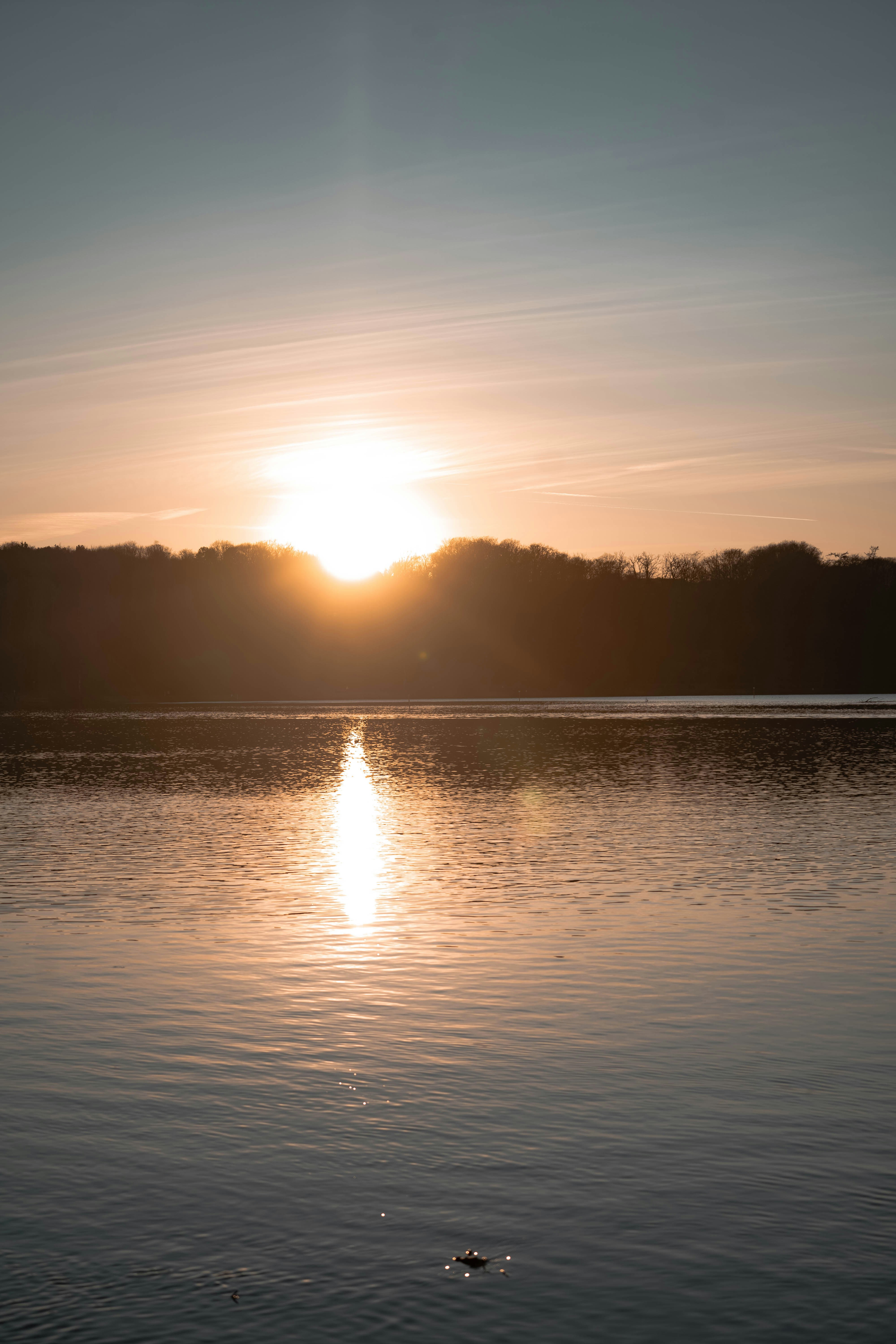 Photo by konstantin_rmy