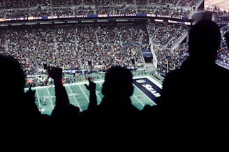 a crowd of people watching a football game
