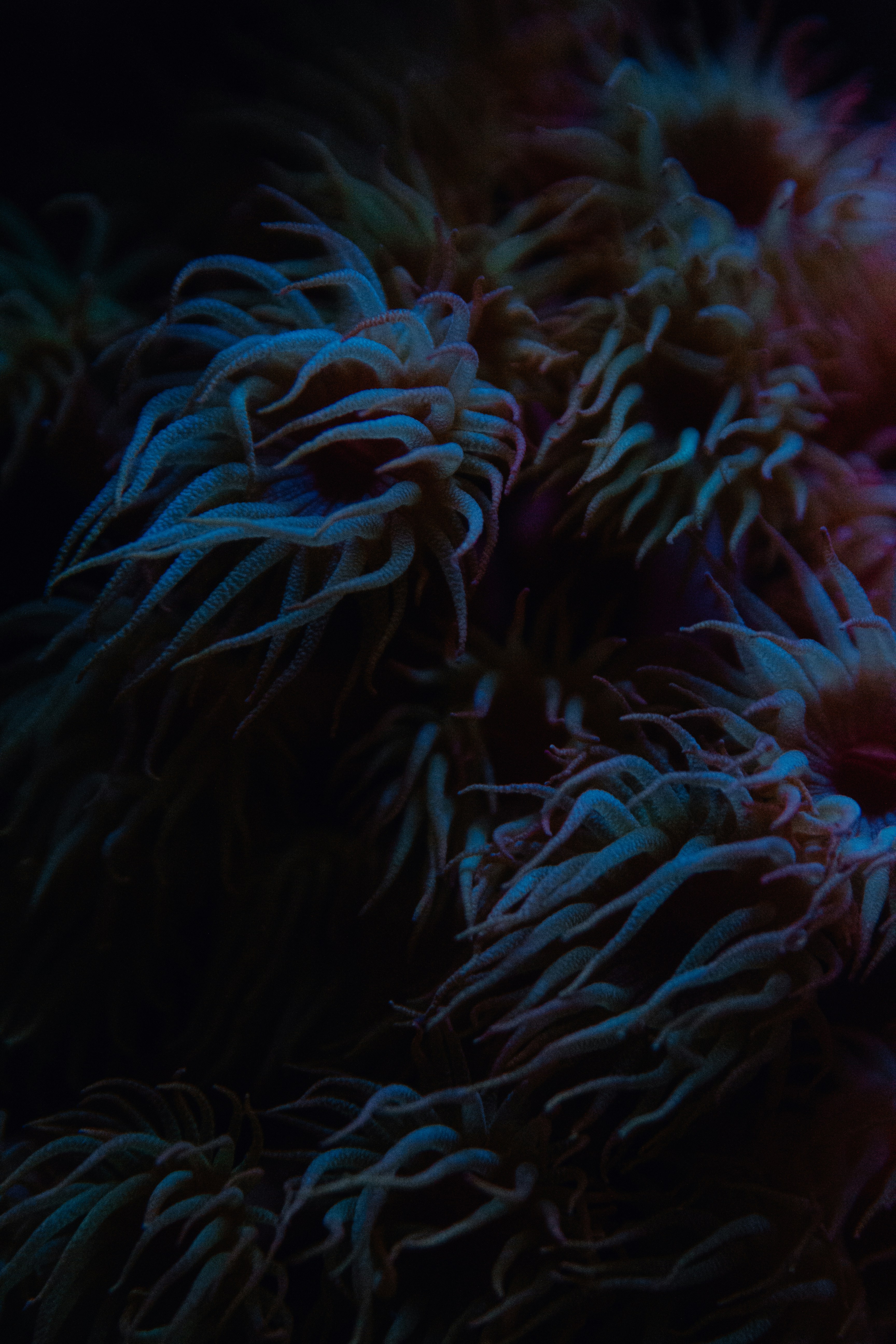 Photo by sam_badmaeva