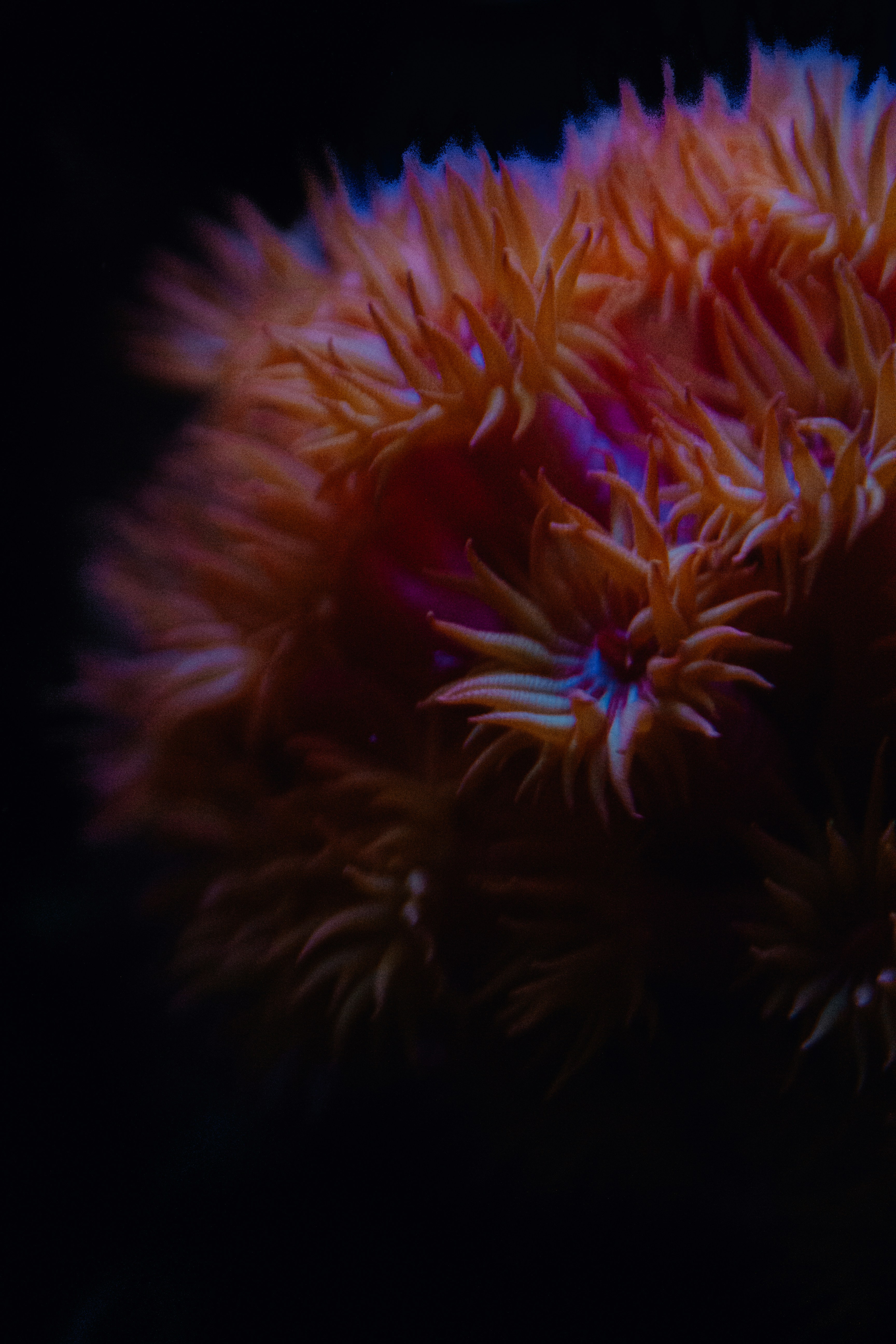 Photo by sam_badmaeva