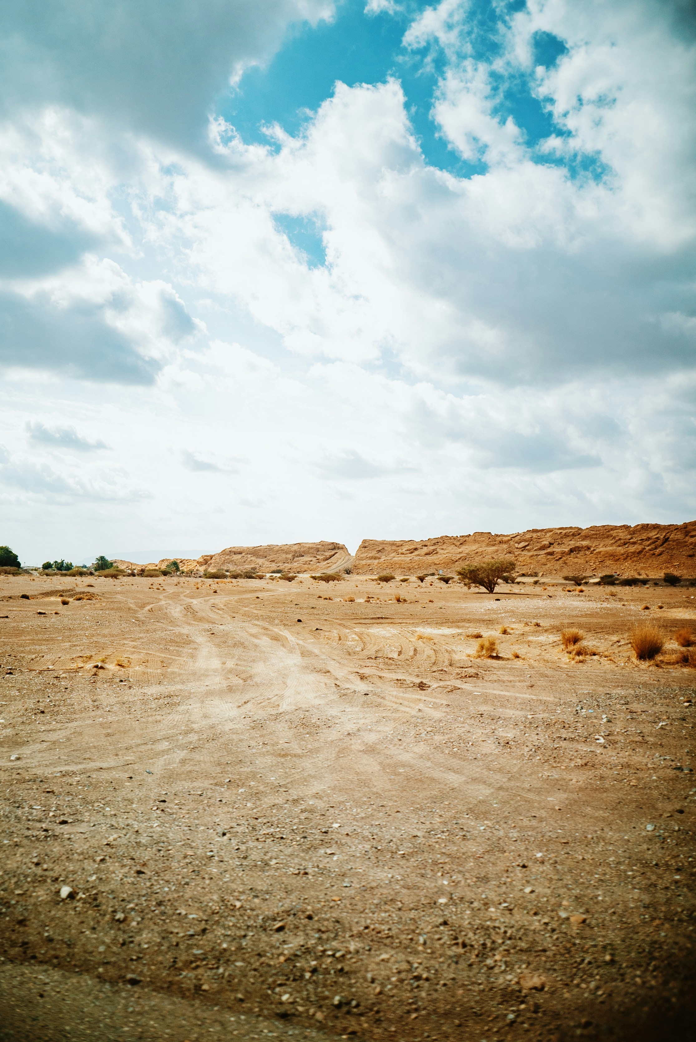 Photo by evanthewise