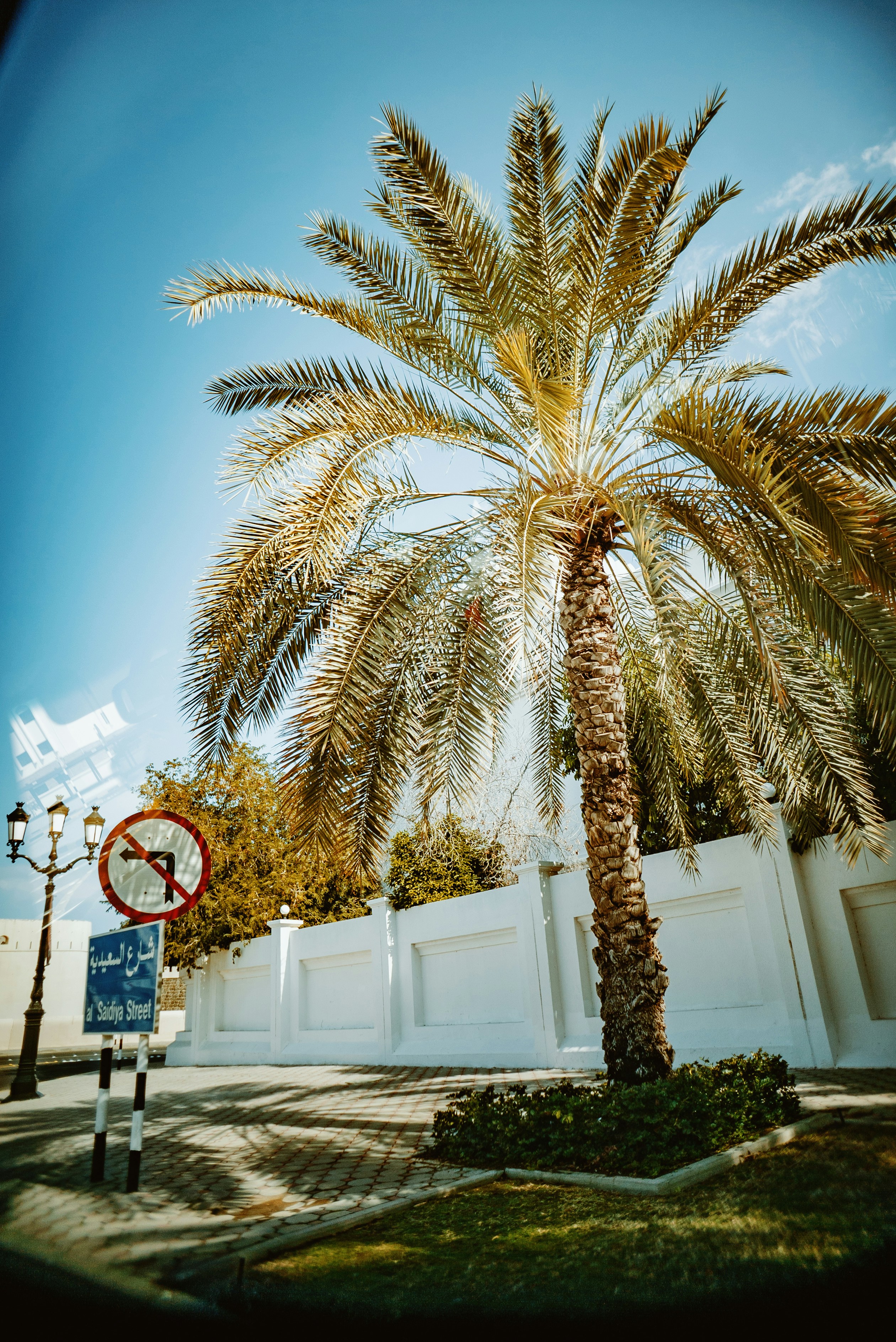 Photo by evanthewise