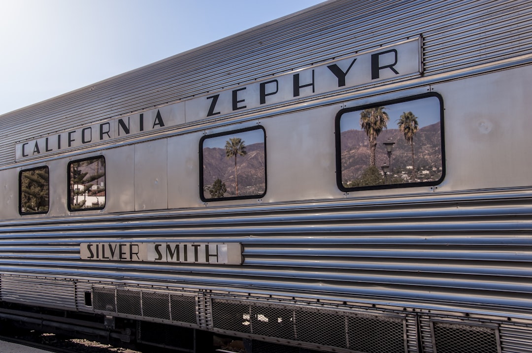 a silver train car with palm trees in the reflection,