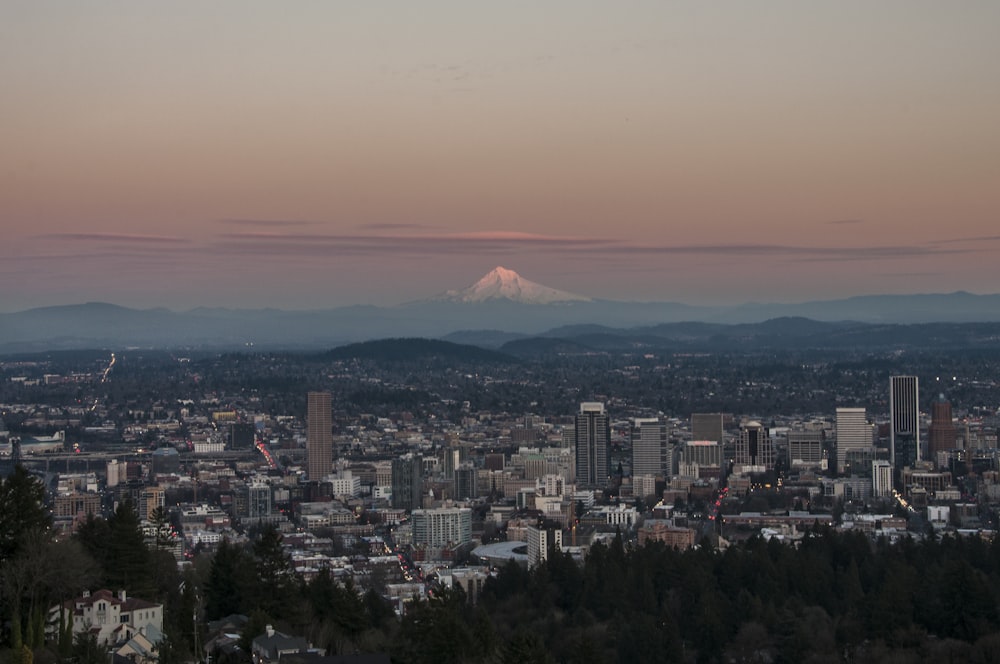 a view of a city with a mountain in the background