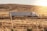 A large semi-truck with a white trailer is traveling on a deserted road through a dry, grassy landscape with rolling hills in the background. The sun is setting or rising, casting a warm glow over the scene.