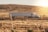 A large semi-truck with a white trailer is traveling on a deserted road through a dry, grassy landscape with rolling hills in the background. The sun is setting or rising, casting a warm glow over the scene.