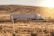 A rugged semi-truck from Berk-a-me LLC driving through a dusty West Texas landscape at sunset.