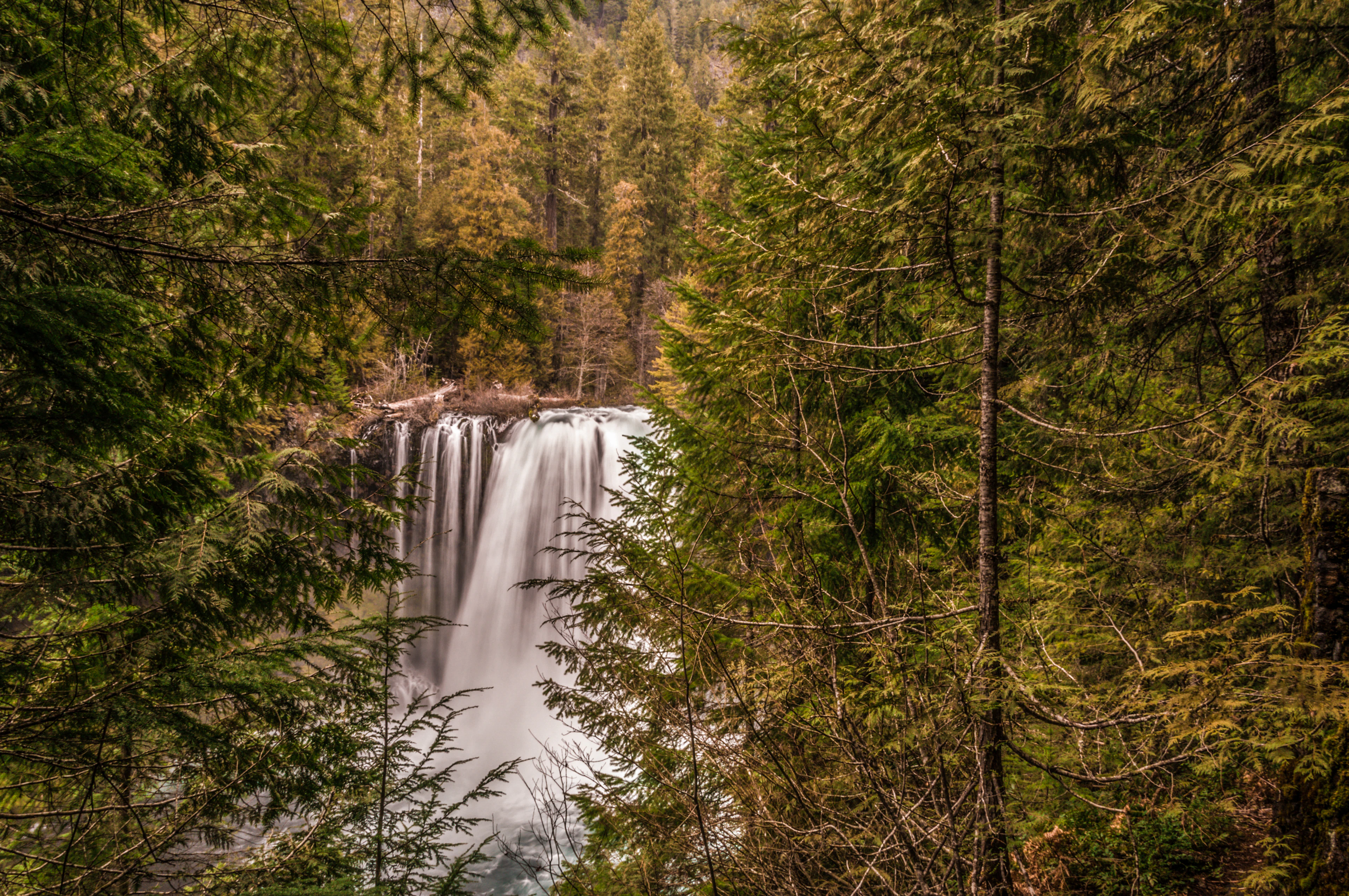 Waterfall cascading through a lush forest