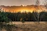 Sunset over the lush forest surrounding the ecoaventura ranch with a cozy cabin in view.