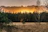 Sunset over the lush forest surrounding the ecoaventura ranch with a cozy cabin in view.