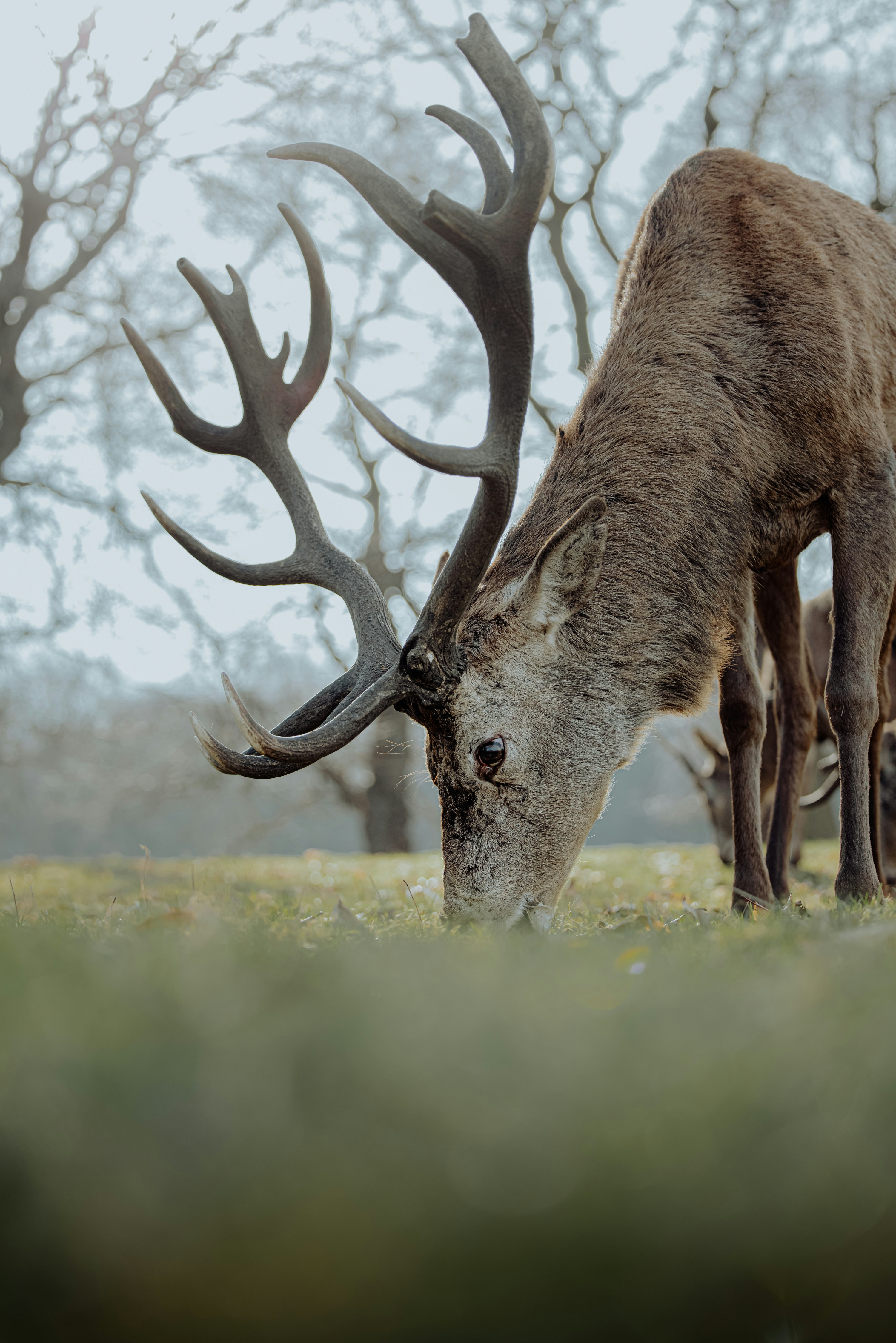 Photo by lukethorntonofficial