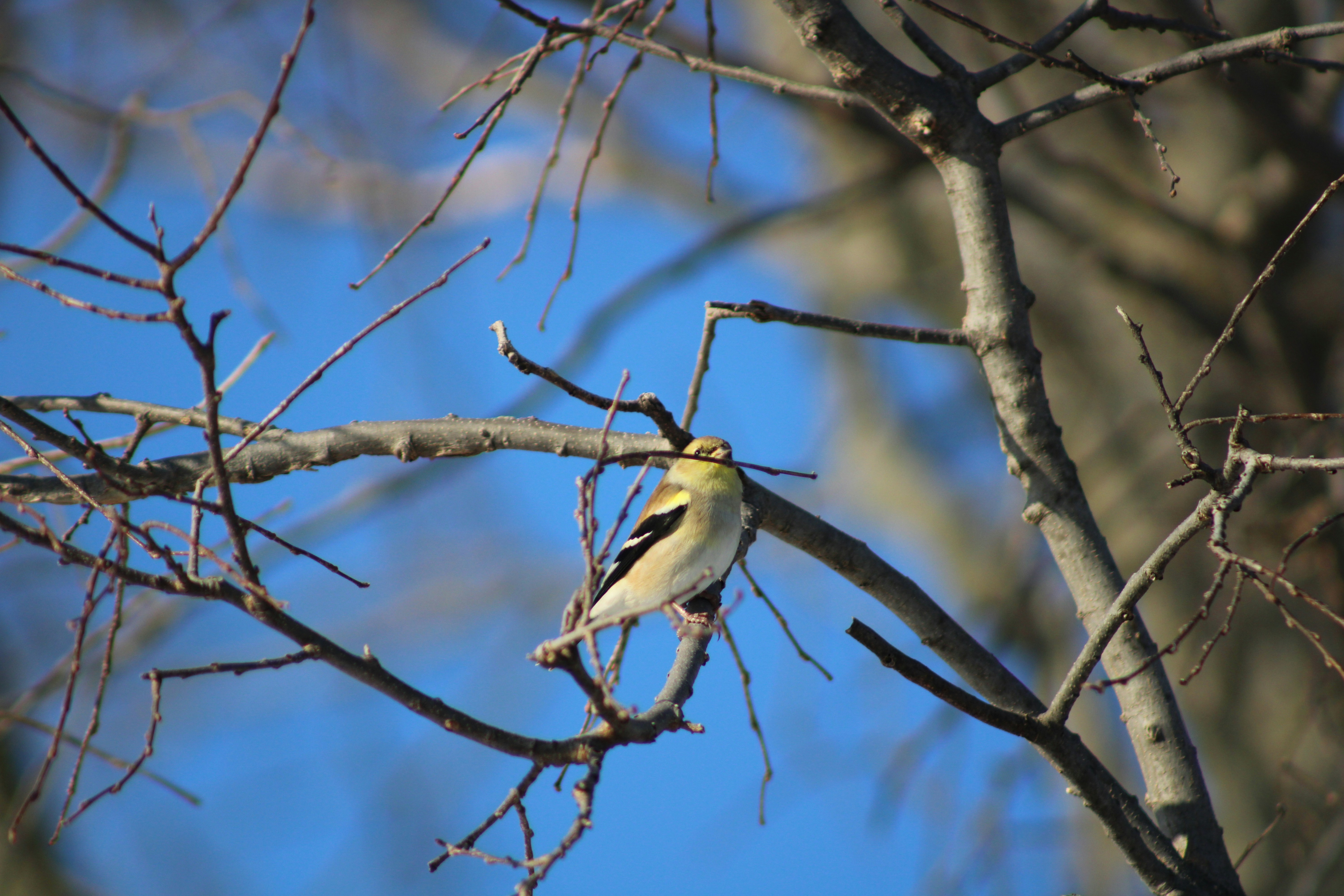 Photo by corinn_suess10