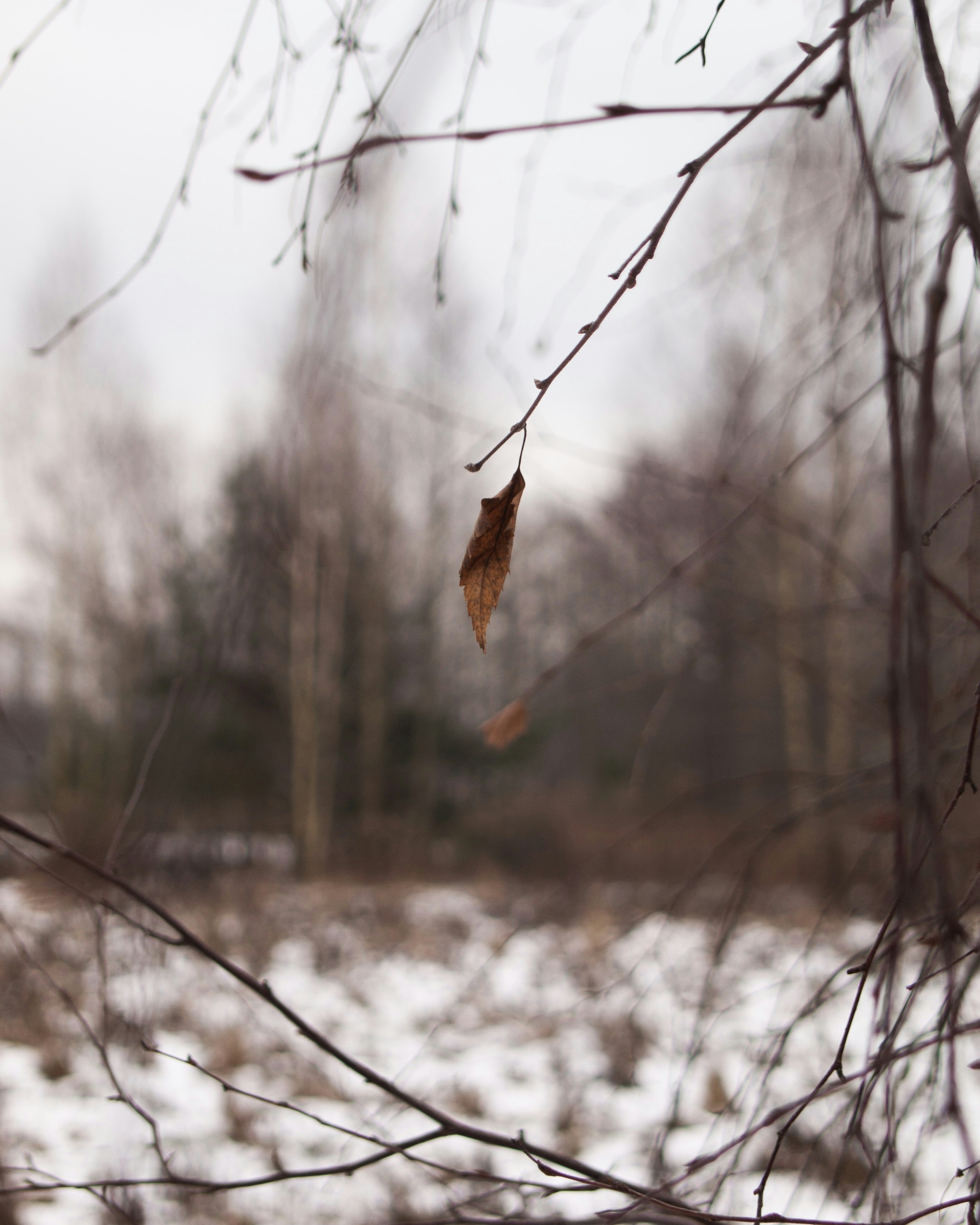 Photo by wiatrolap